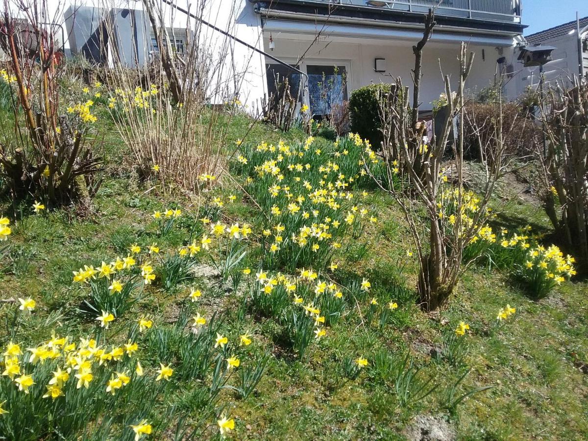 Apartamento Perlenbachtal Monschau Exterior foto