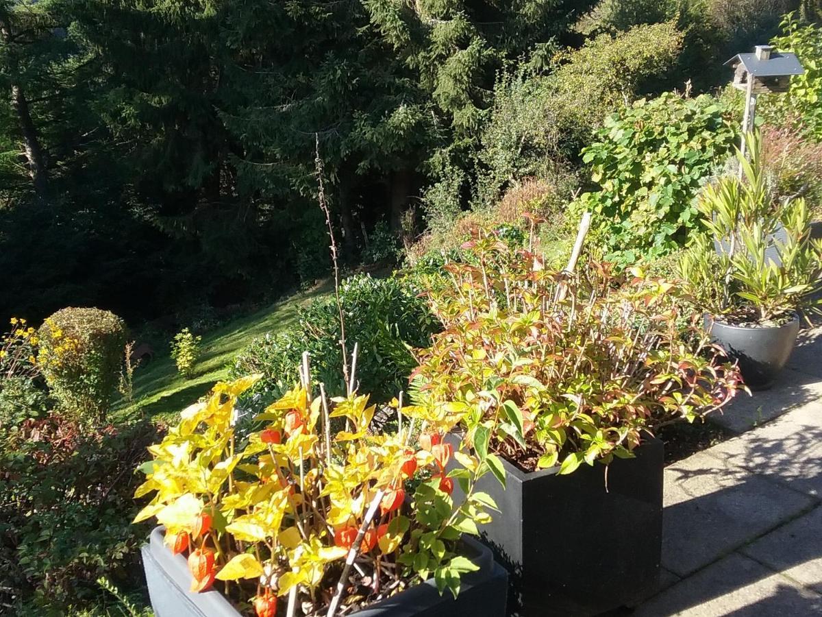 Apartamento Perlenbachtal Monschau Exterior foto